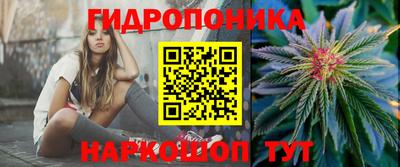 МДПВ Можга