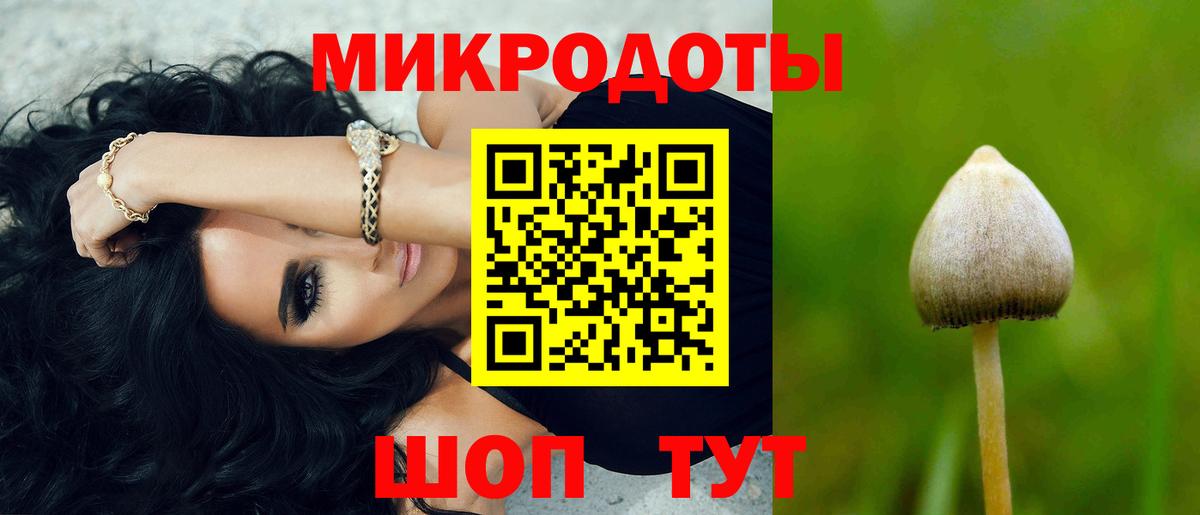 Владикавказ  Псилоцибиновые грибы MAGIC MUSHROOMS  Вход с VPN  Псилоцибиновые грибы мицелий 